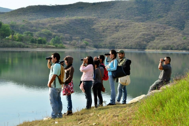 Observacion de aves